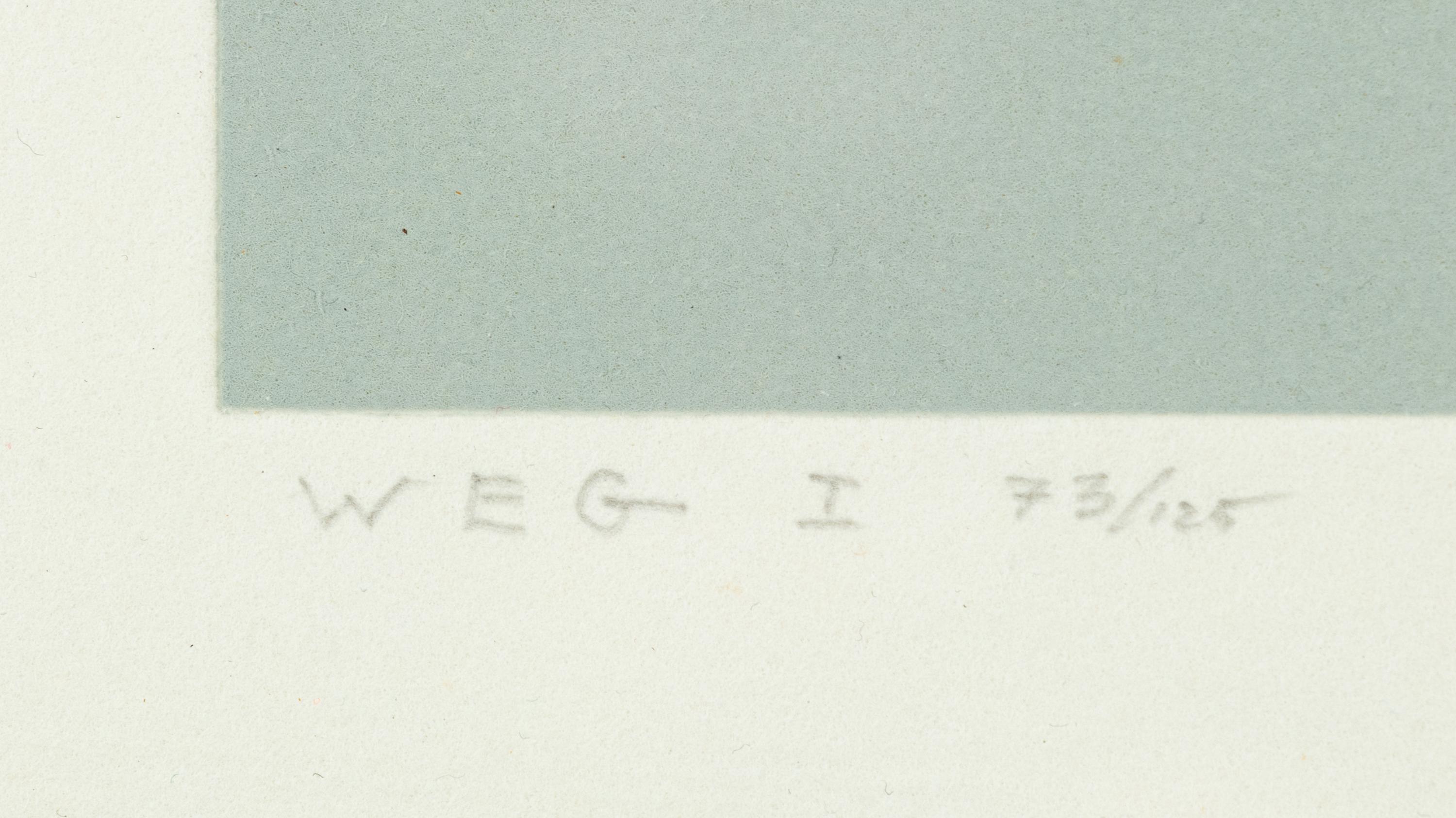 White Embossing on Gray: I-X (complete series)