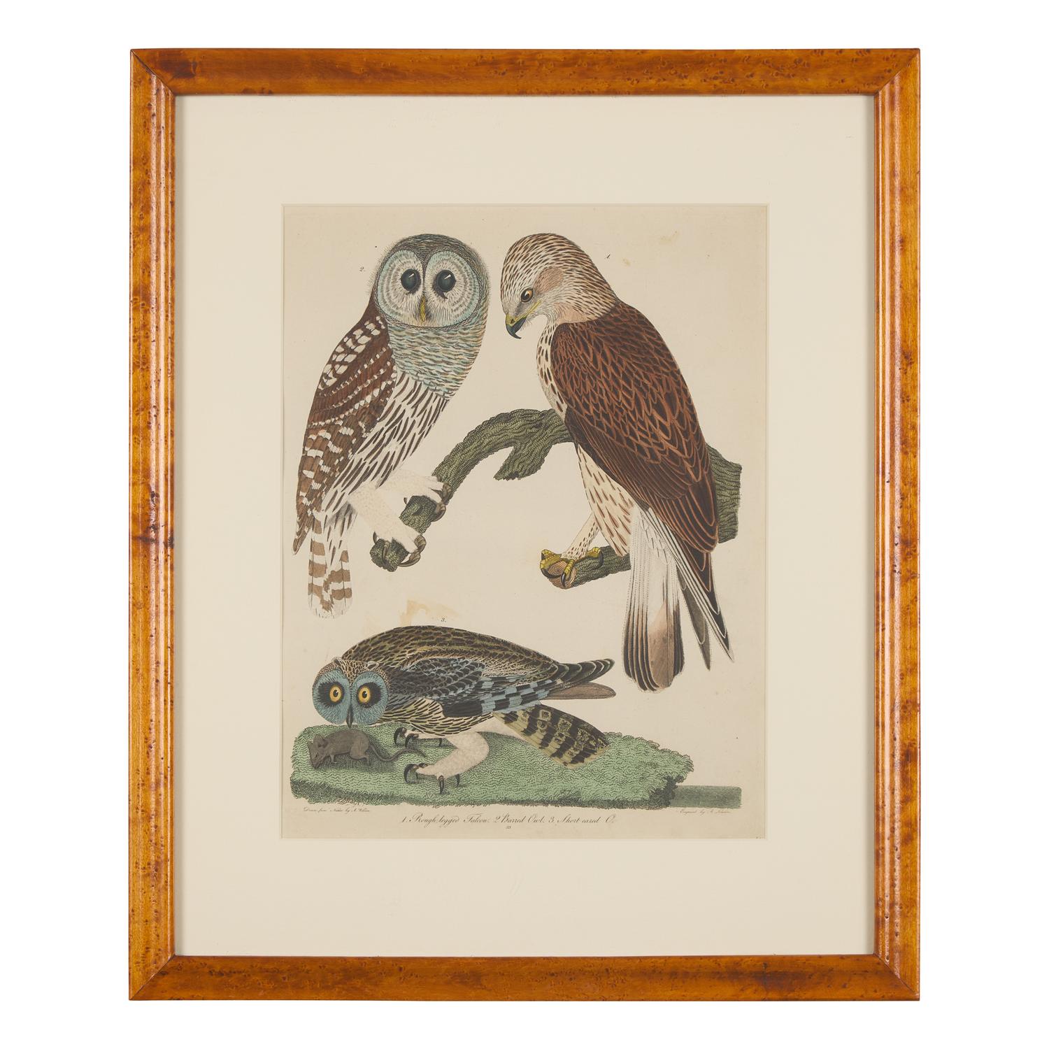 Alexander Lawson (1773-1846) and John G. Warnicke (died 1818), After Alexander Wilson (1766-1813), A Set of Sixteen Hand-Colored Engravings of Various Birds