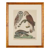 Alexander Lawson (1773-1846) and John G. Warnicke (died 1818), After Alexander Wilson (1766-1813), A Set of Sixteen Hand-Colored Engravings of Various Birds
