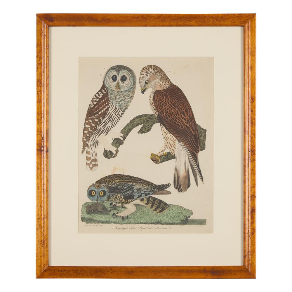 Alexander Lawson (1773-1846) and John G. Warnicke (died 1818), After Alexander Wilson (1766-1813), A Set of Sixteen Hand-Colored Engravings of Various Birds