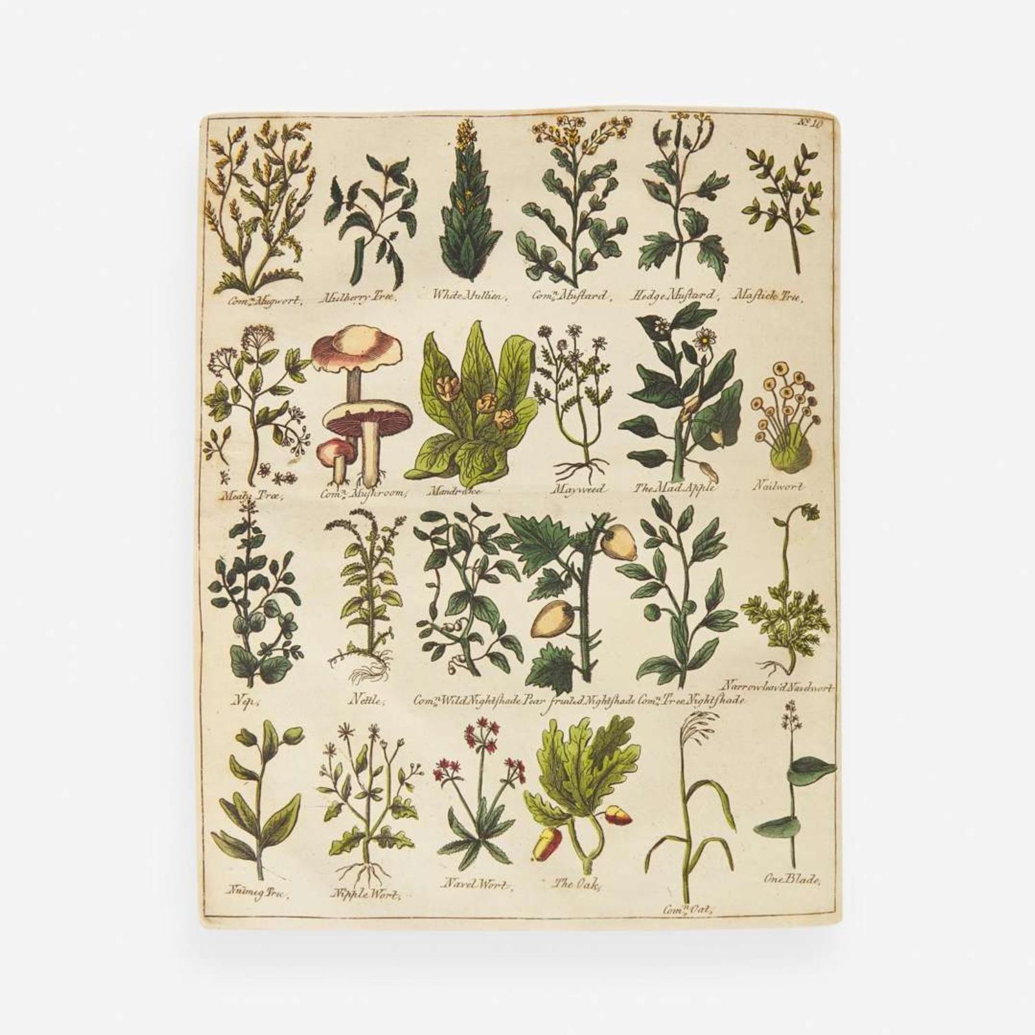 [Science, Medicine, & Mathematics] [Culpeper, Nicholas] Sibly, E(benezer). Culpeper's English Physician; and Complete Herbal...