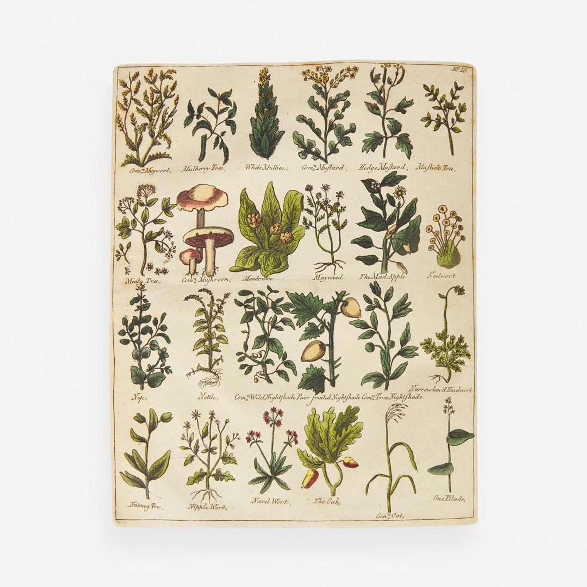 [Science, Medicine, & Mathematics] [Culpeper, Nicholas] Sibly, E(benezer). Culpeper's English Physician; and Complete Herbal...
