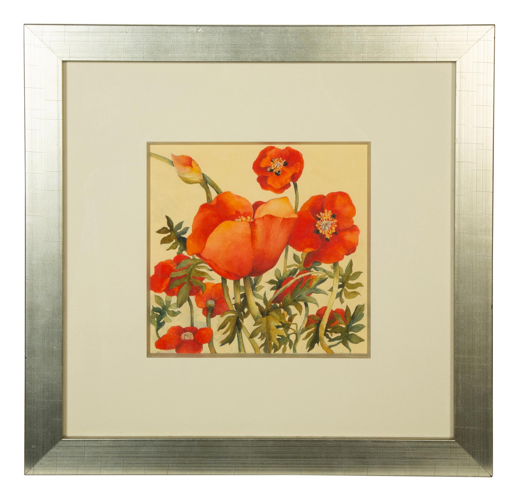 Poppies