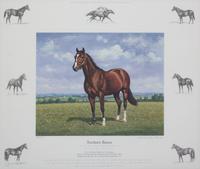 Nineteen Equestrian Prints