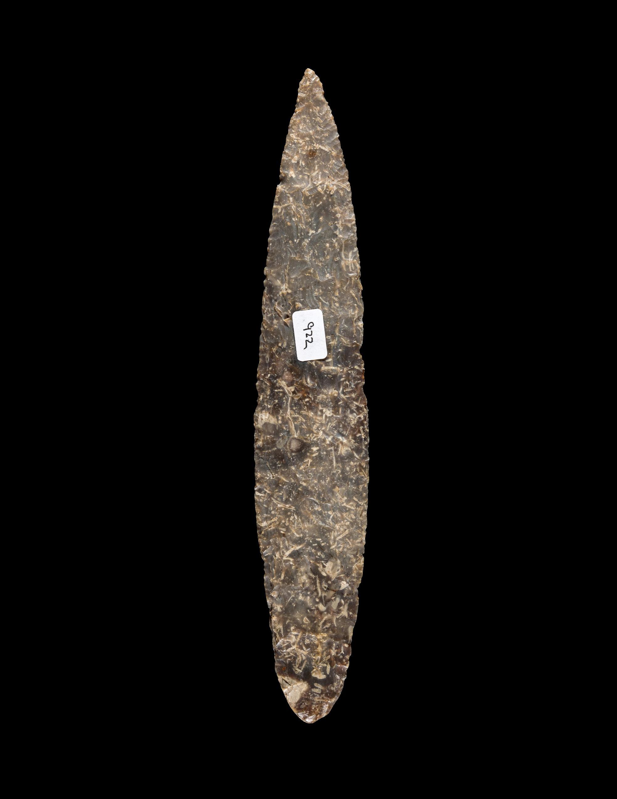 A Neolithic Flint Dagger with Fossil Inclusions