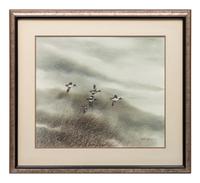 Five Ducks in the Snow