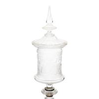 A Bohemian Tiefschnitt Glass Goblet and Cover
