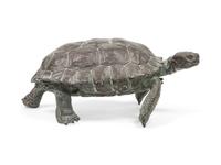 Tortoise, edition 17/25