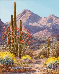 Desert Landscape