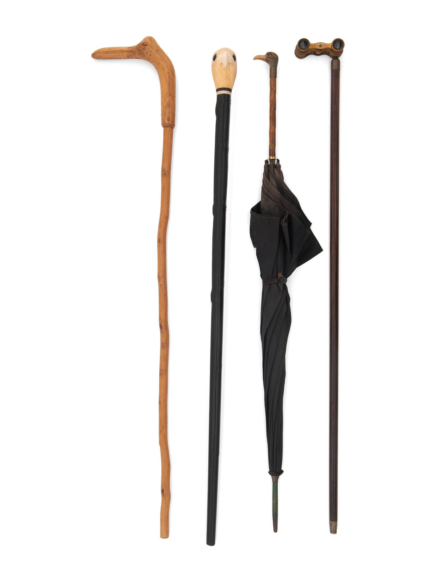 Four Walking Sticks and Umbrellas