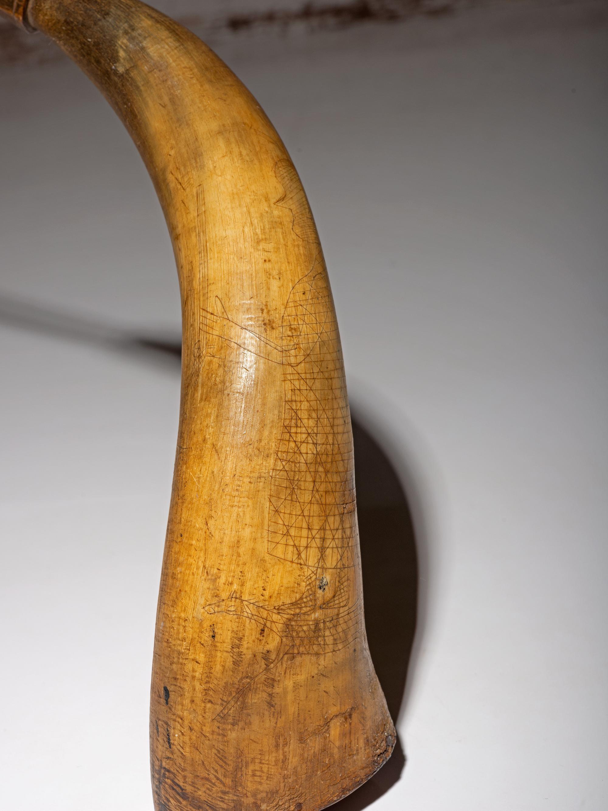 Great Lakes Incised Powder Horn