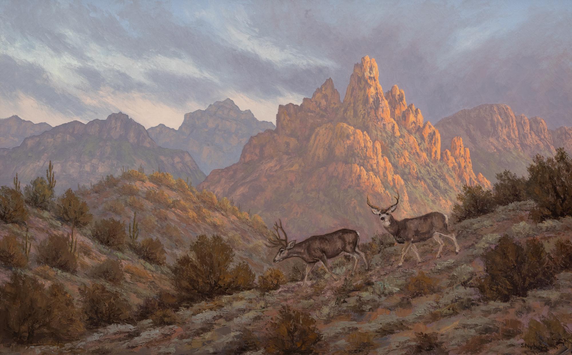 Red Mountain Mule Deer