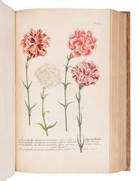 [NATURAL HISTORY]. WEINMANN, Johann Wilhelm (1683-1741). Phytanthoza - Iconographia, oder eigentliche Vorstellung etlicher tausend, wo wohl einheimisch als Ausländischer…. Regensburg: Hieronymo Lenz, 1739.