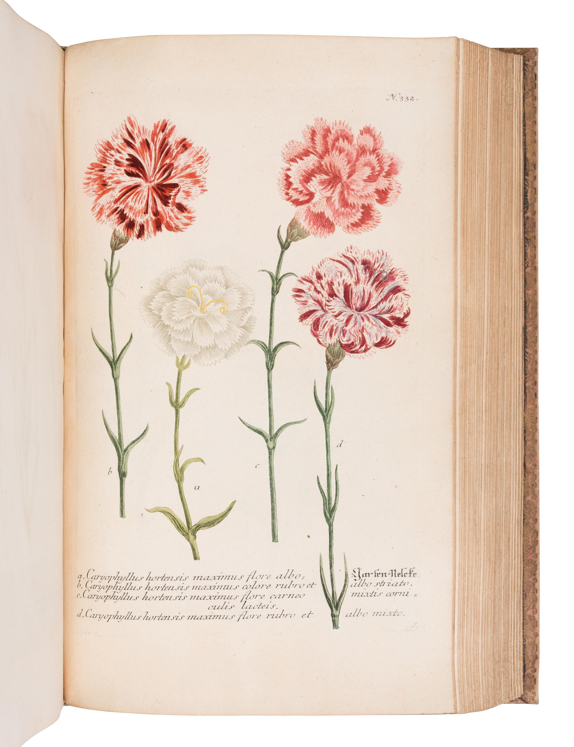 [NATURAL HISTORY]. WEINMANN, Johann Wilhelm (1683-1741). Phytanthoza - Iconographia, oder eigentliche Vorstellung etlicher tausend, wo wohl einheimisch als Ausländischer…. Regensburg: Hieronymo Lenz, 1739.