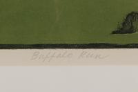 Buffalo Run