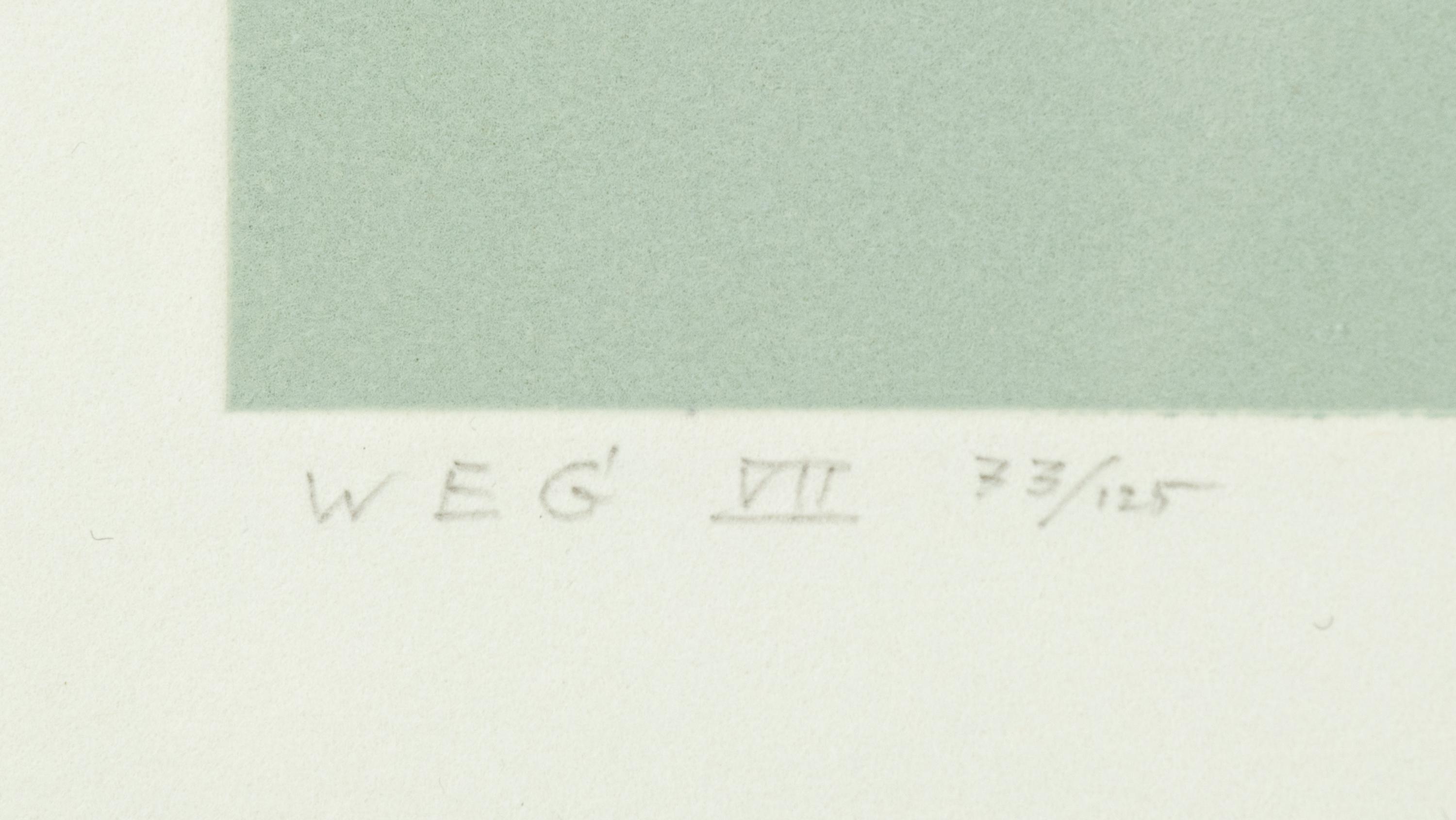 White Embossing on Gray: I-X (complete series)