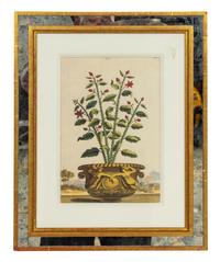 A Set of Three Framed Hand-Colored Chromolithographs