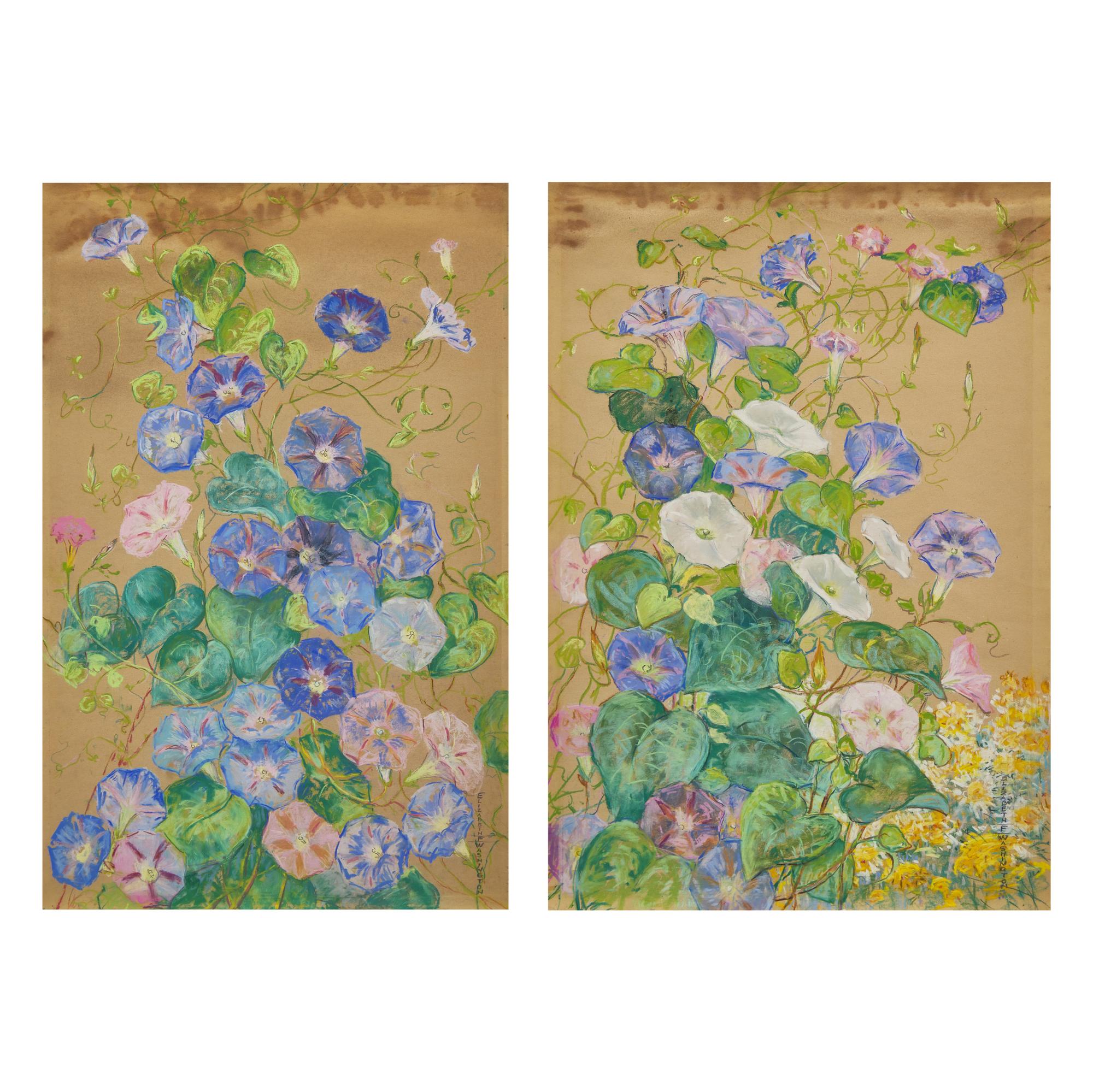 Morning Glories; A Pair