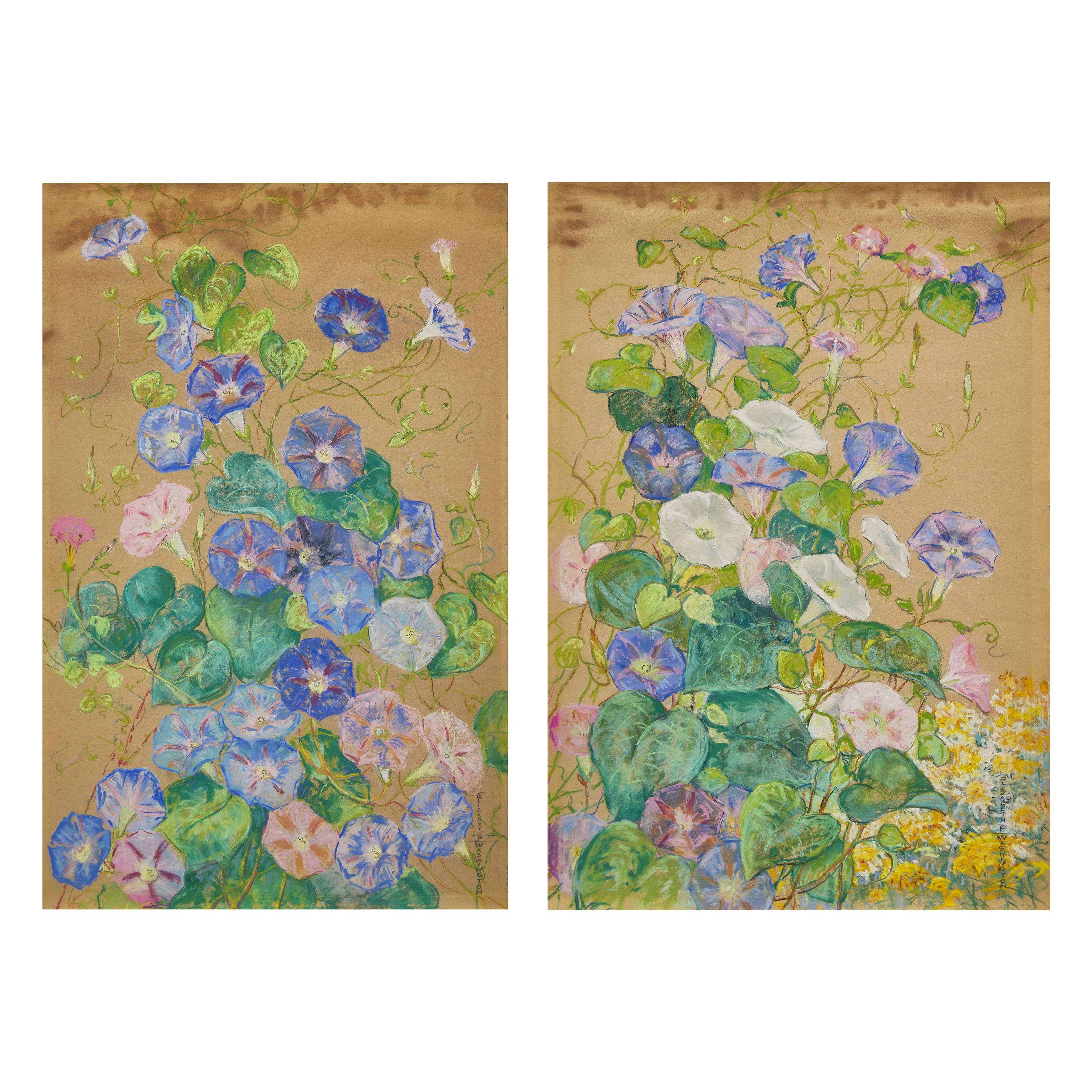 Morning Glories; A Pair
