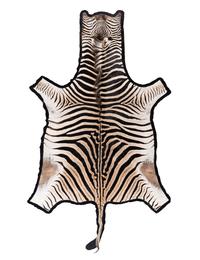 A Taxidermy Zebra Rug