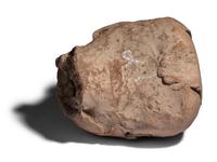 A Veracruz Terracotta Head