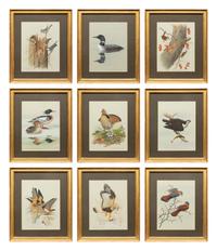 Group of Nine Works, American Bird Series, 1988