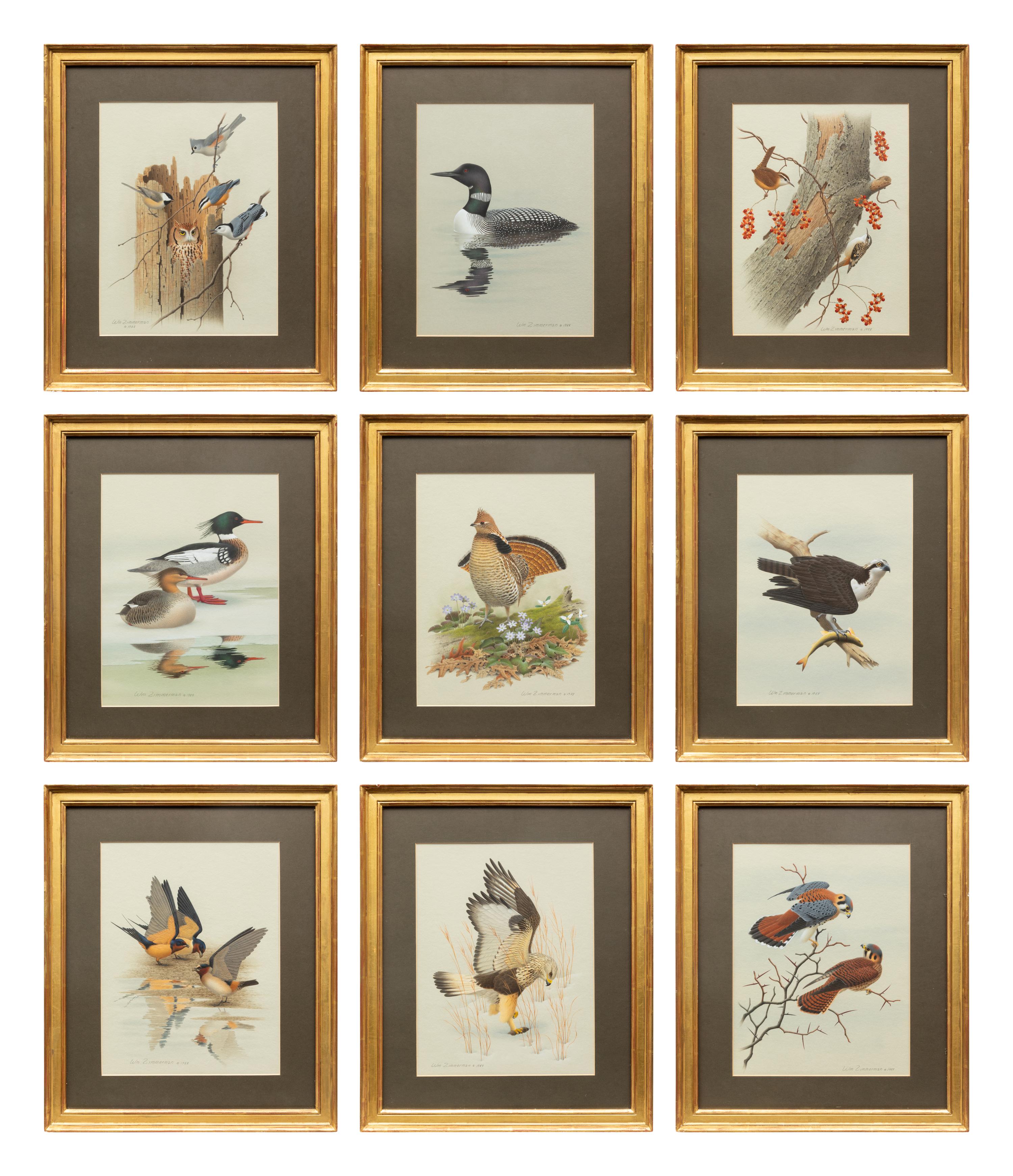 Group of Nine Works, American Bird Series, 1988