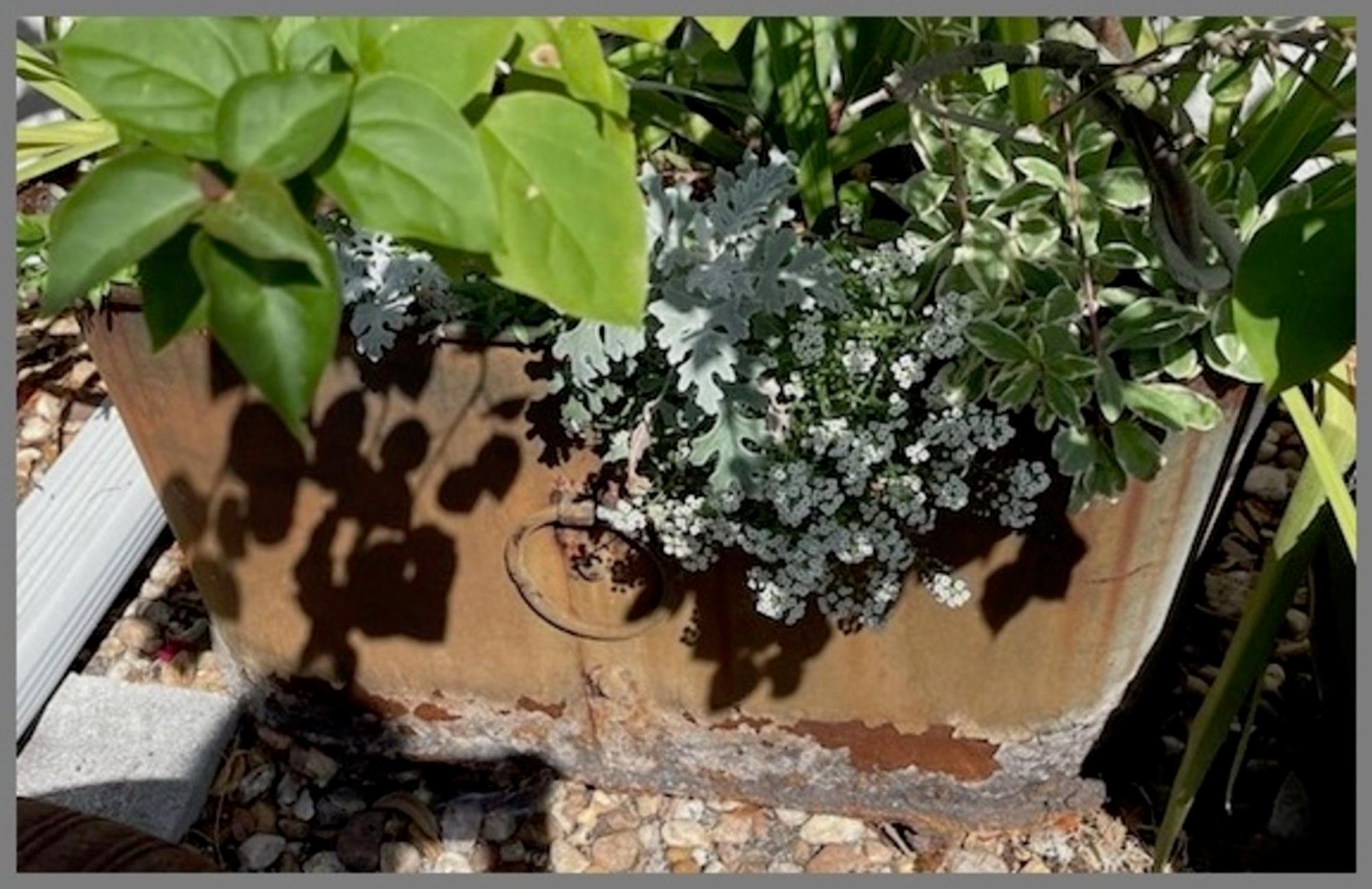A Pair of Regency Style Oval Iron Framed and Zinc Tub-Form Planters with Ring Handles