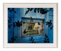 Untitled (Insect Window ), 1994