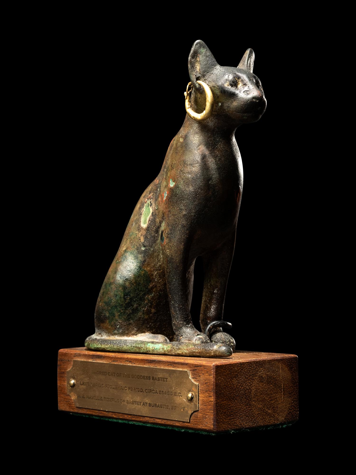 An Egyptian Bronze Cat