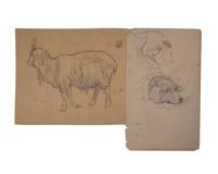 Farm Animal Studies: F older of Eighteen (18) Pencil Drawings