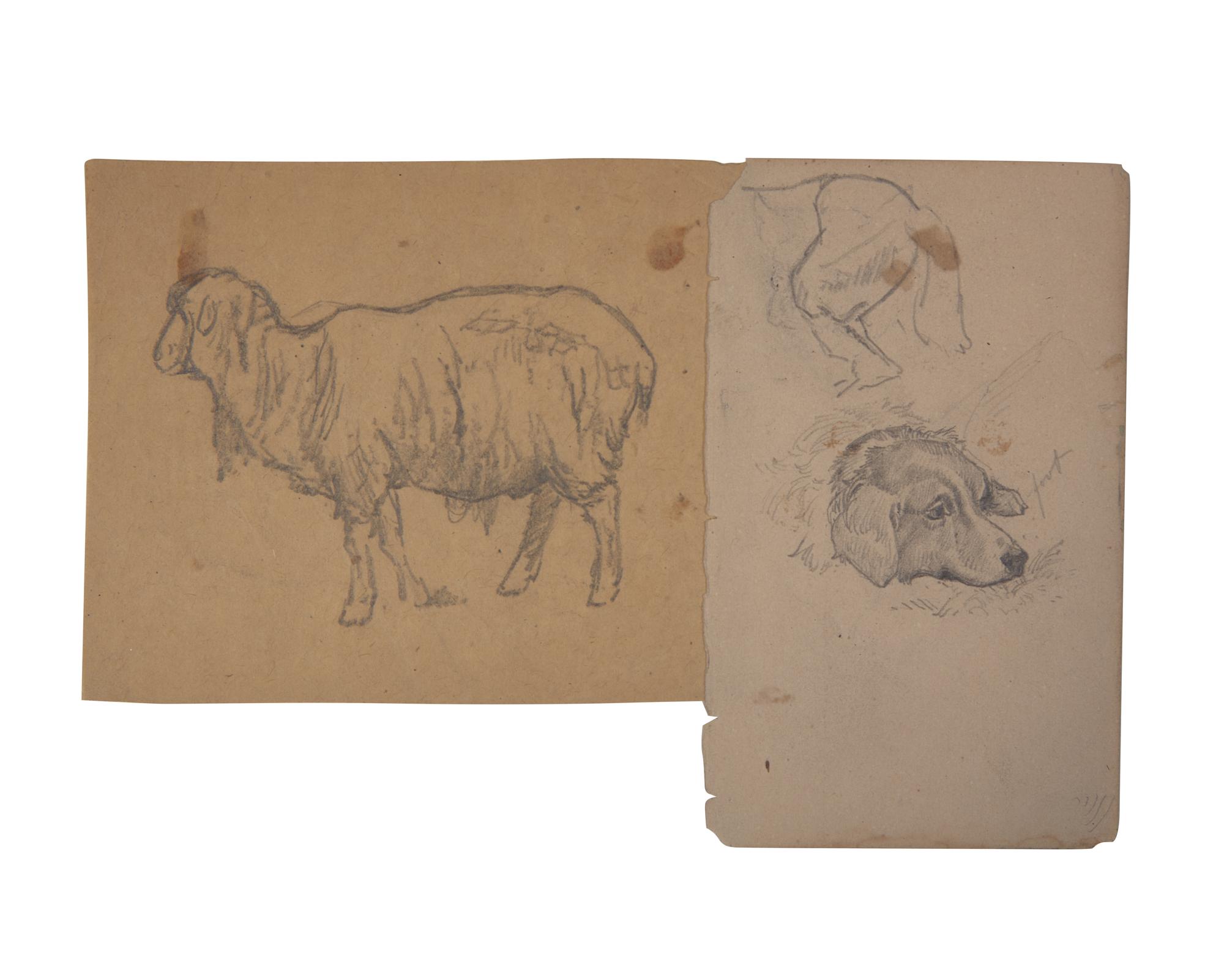 Farm Animal Studies: F older of Eighteen (18) Pencil Drawings