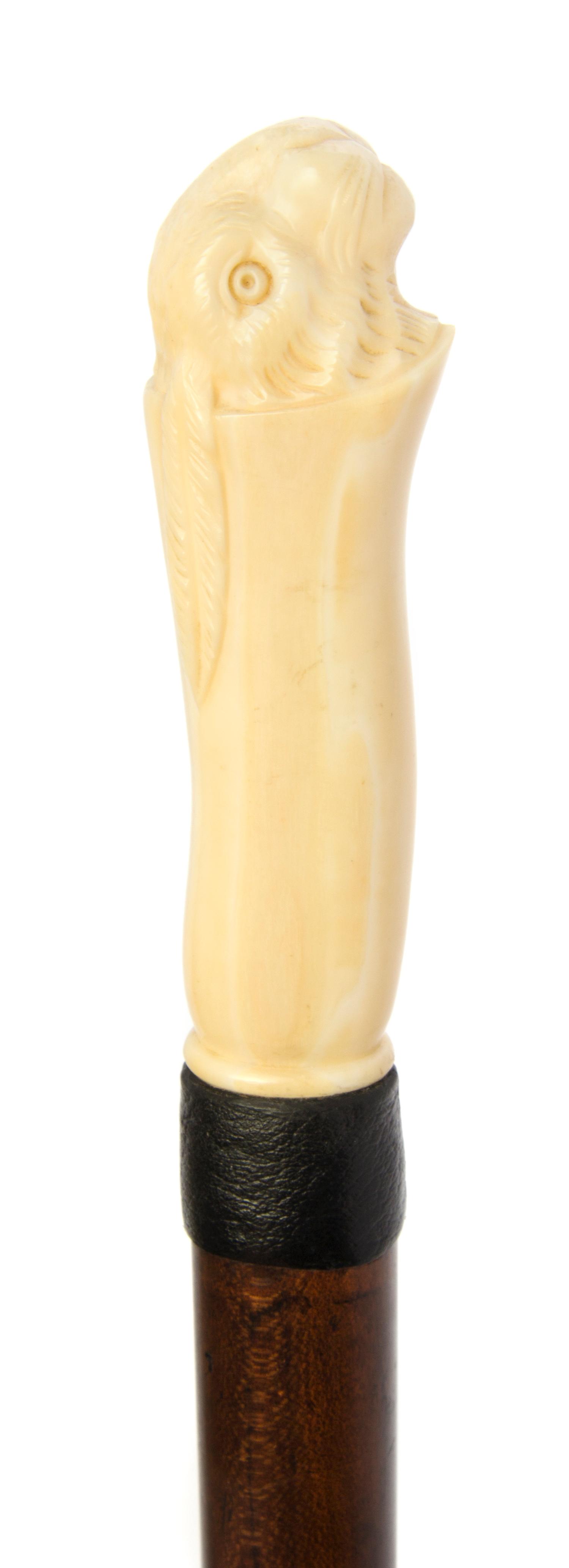 An American Walrus Ivory Handled Walking Stick, Length of handle 3 3/4 x length overall 36 3/4 inches.
