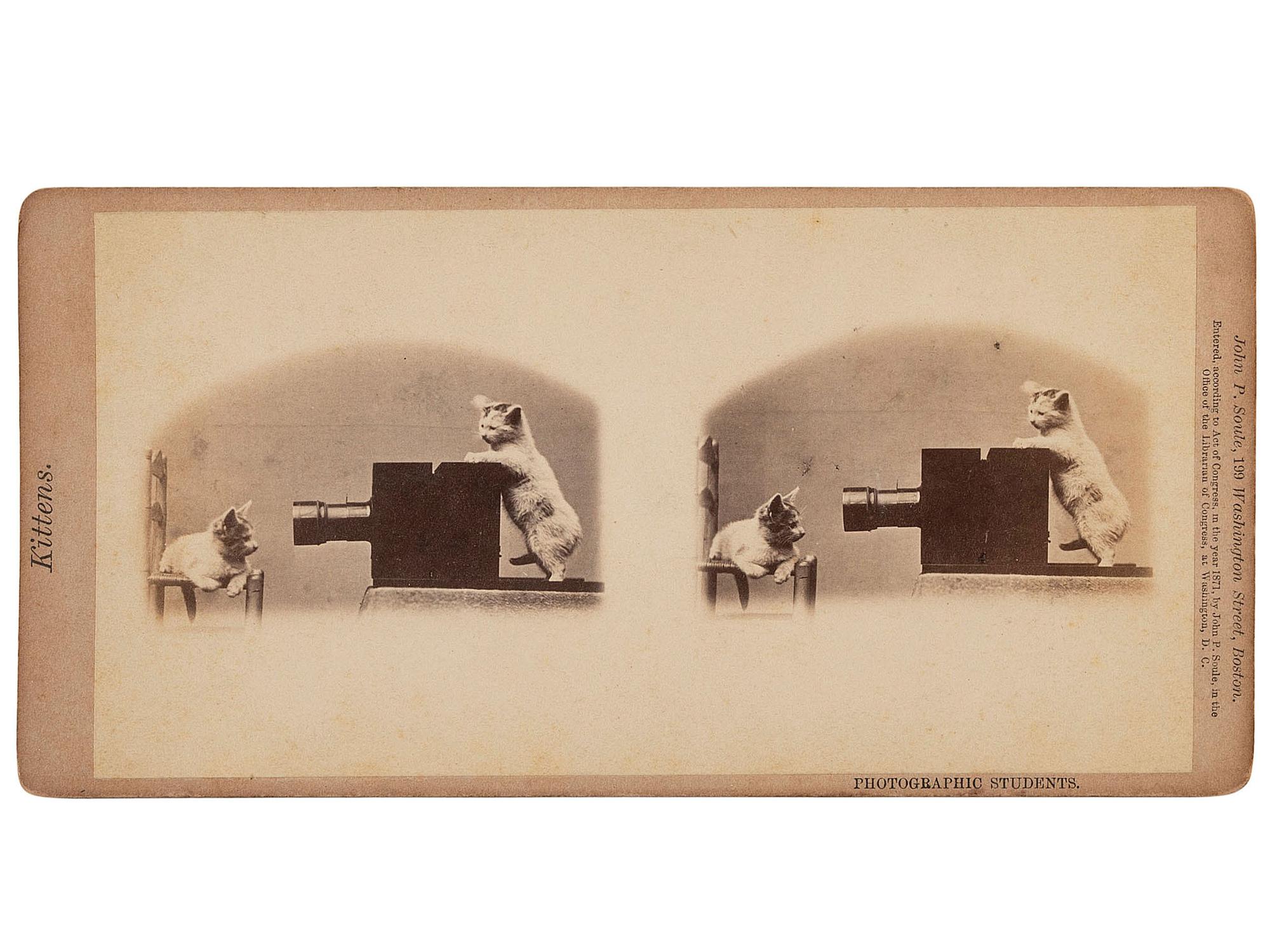 [EARLY PHOTOGRAPHY]. SOULE, John P. (1828-1904), photographer. 16 stereoviews of cats from the "Kittens" and "Kitty" series. Boston, MA: 1871.