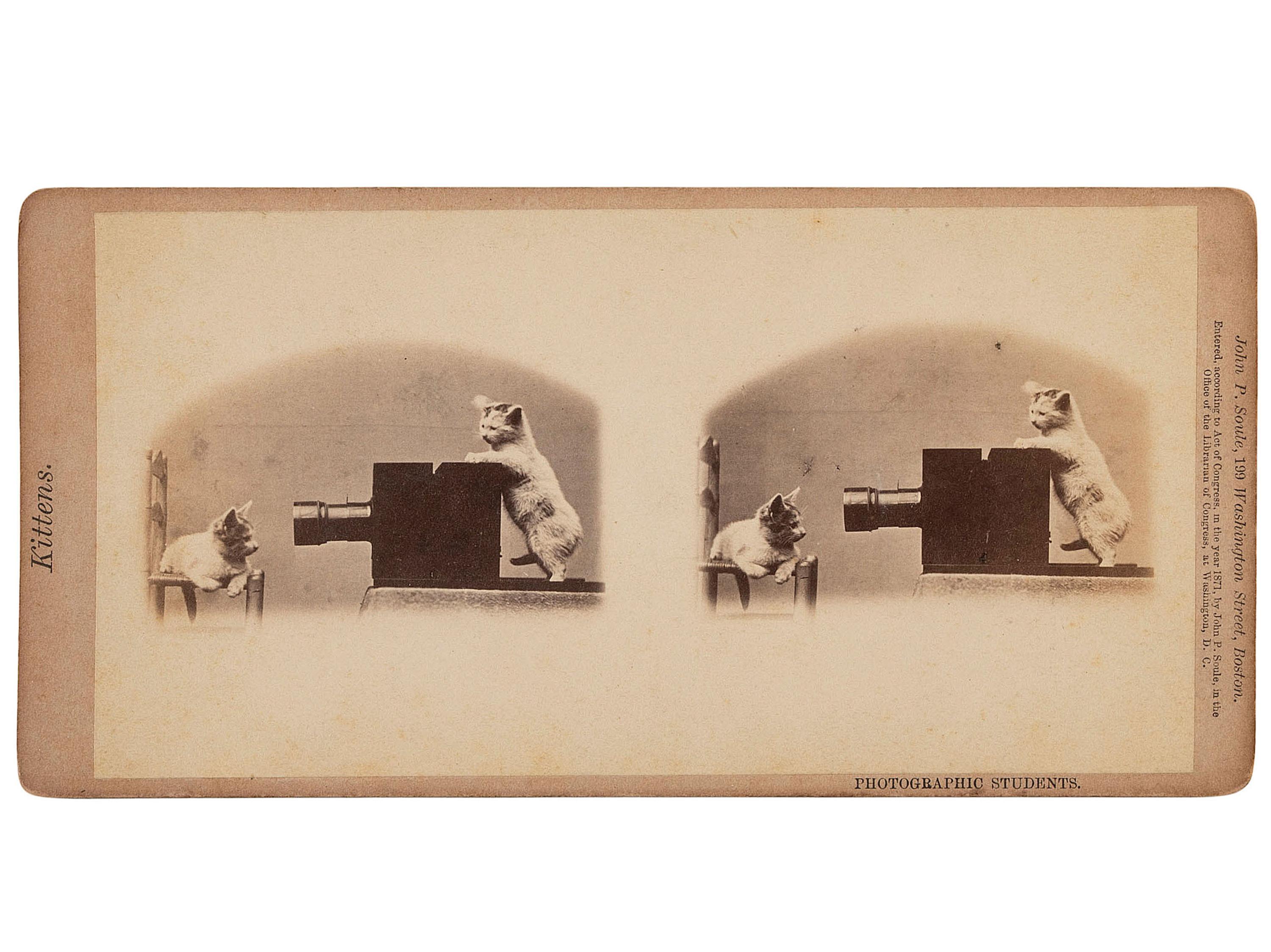 [EARLY PHOTOGRAPHY]. SOULE, John P. (1828-1904), photographer. 16 stereoviews of cats from the "Kittens" and "Kitty" series. Boston, MA: 1871.