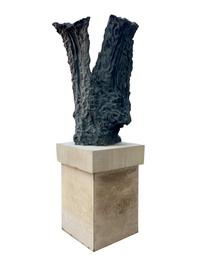 Bastion , 1981