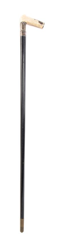 An American Ivory Handled Cane, Length of handle 4 x length overall 35 3/4 inches.