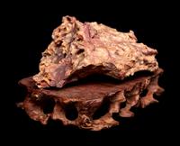 Six Chinese Scholar's Rocks