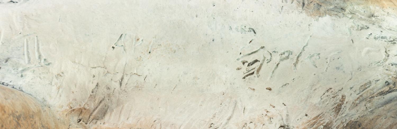 Cougar , Artist's Proof