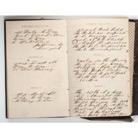 Civil War Diary of Thomas Mains, 33rd Independent Battery, Light Artillery, NYSV