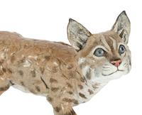 Bobcat, edition 32/50