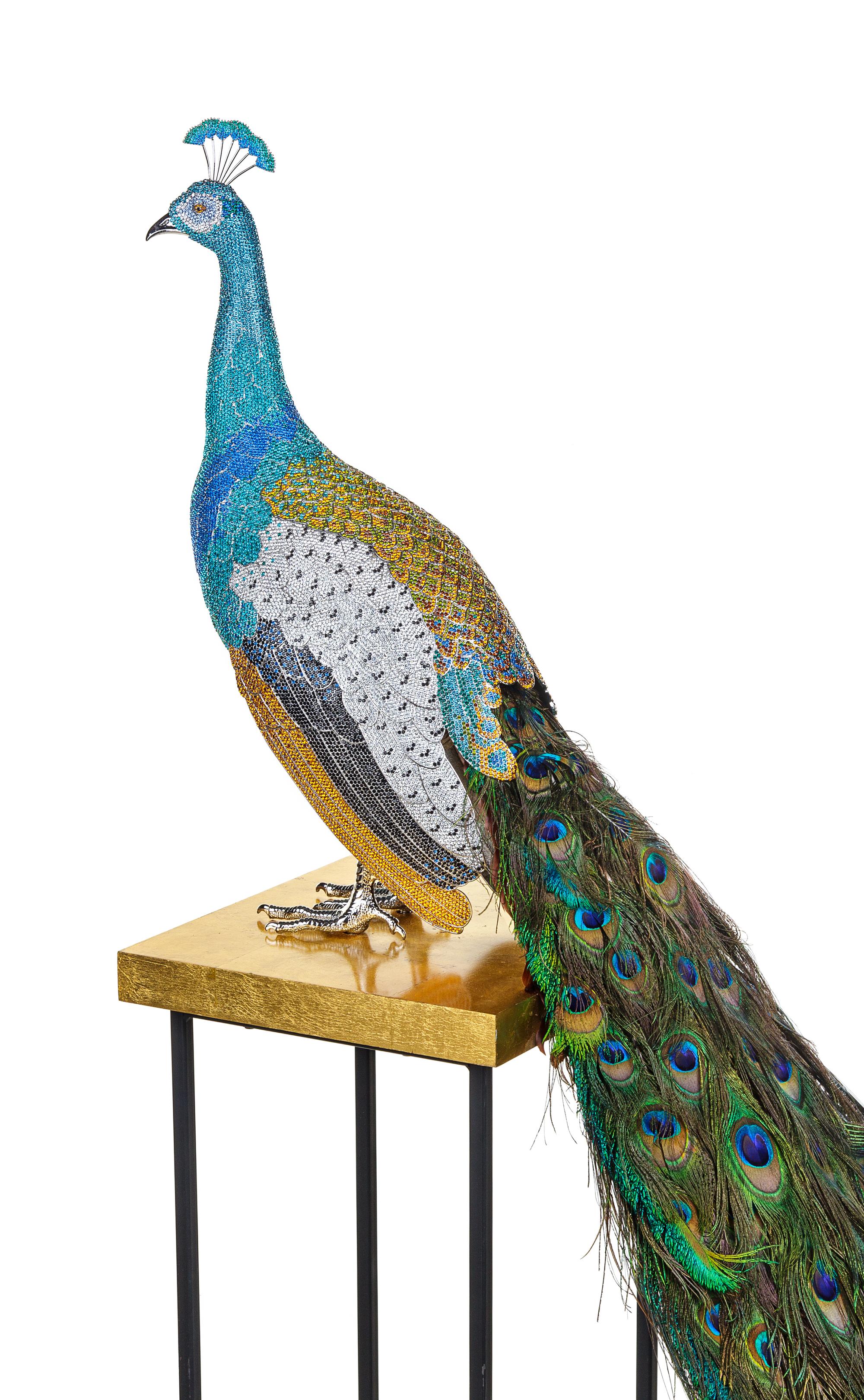 Swarovski Crystal Peacock