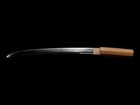 A Wakizashi