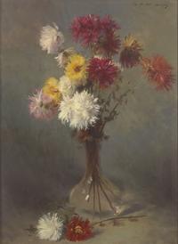 Chrysanthemums