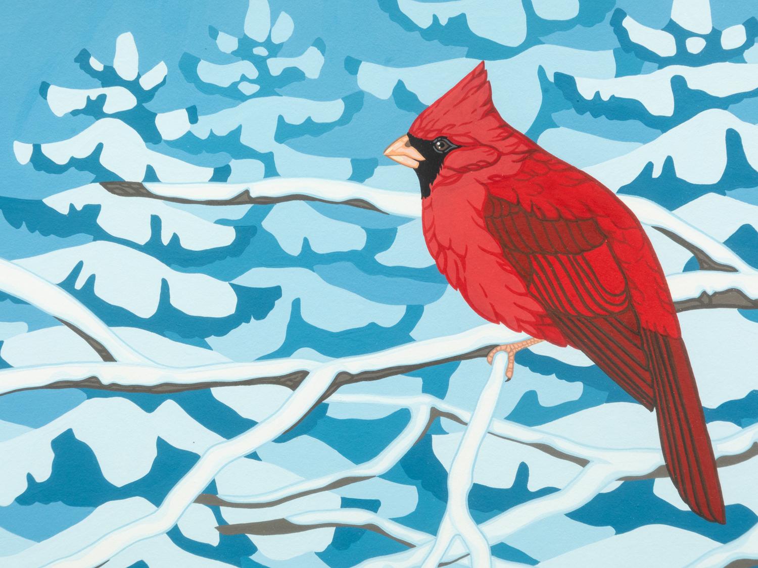 Cardinal , 1991