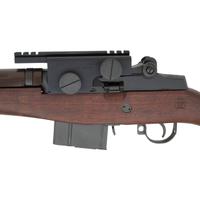 *Springfield Armory M1A
