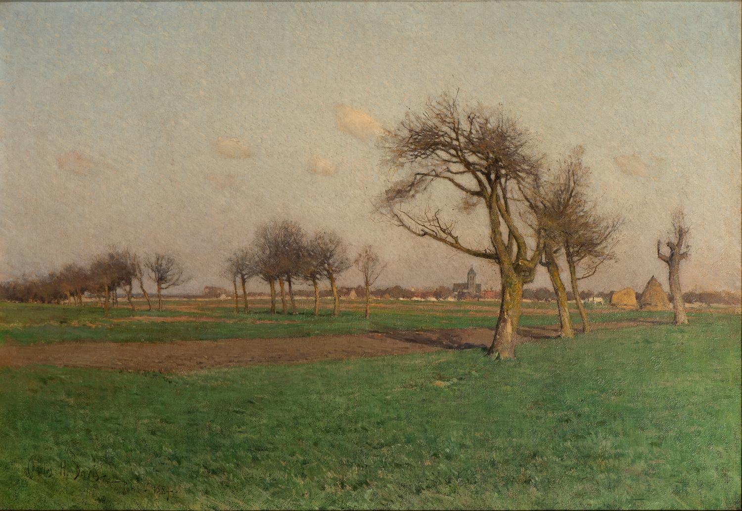 Landscape