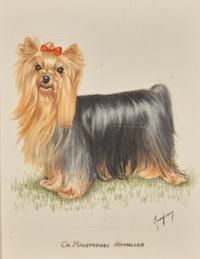 Ch. Macstroube Kathleen