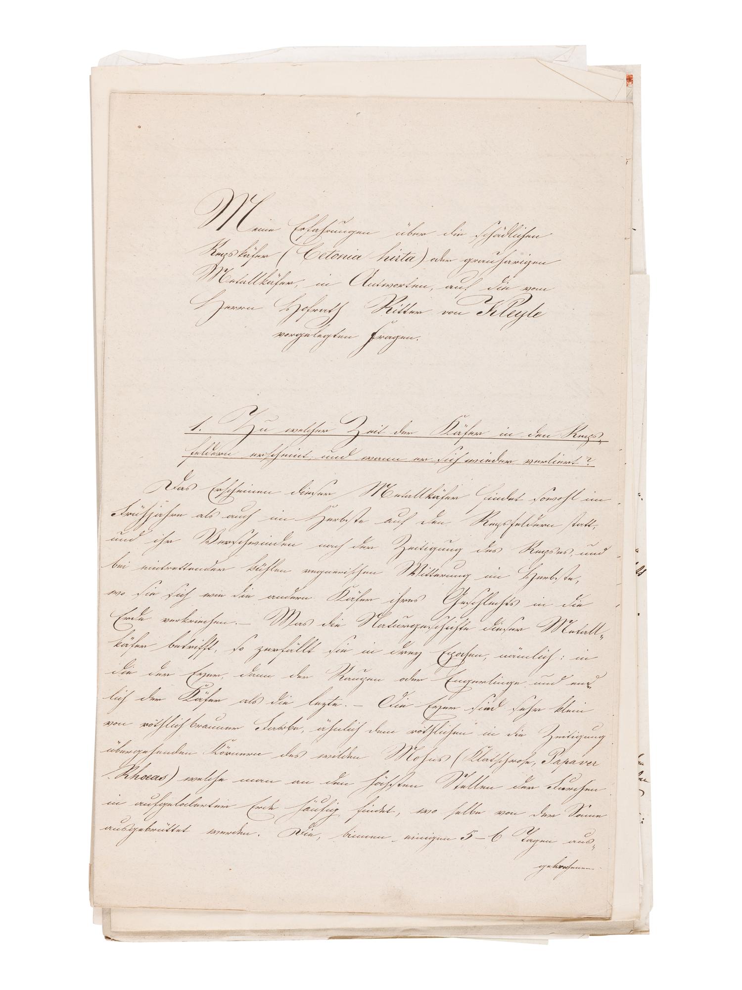 [MANUSCRIPT]. KOLLAR, Vincenz (1797-1860). "Abbildung und Beschreibung schädlicher Insecten. Ms. mit aquarellierten Handzeichnungen." [Vienna, ca 1839-1847].