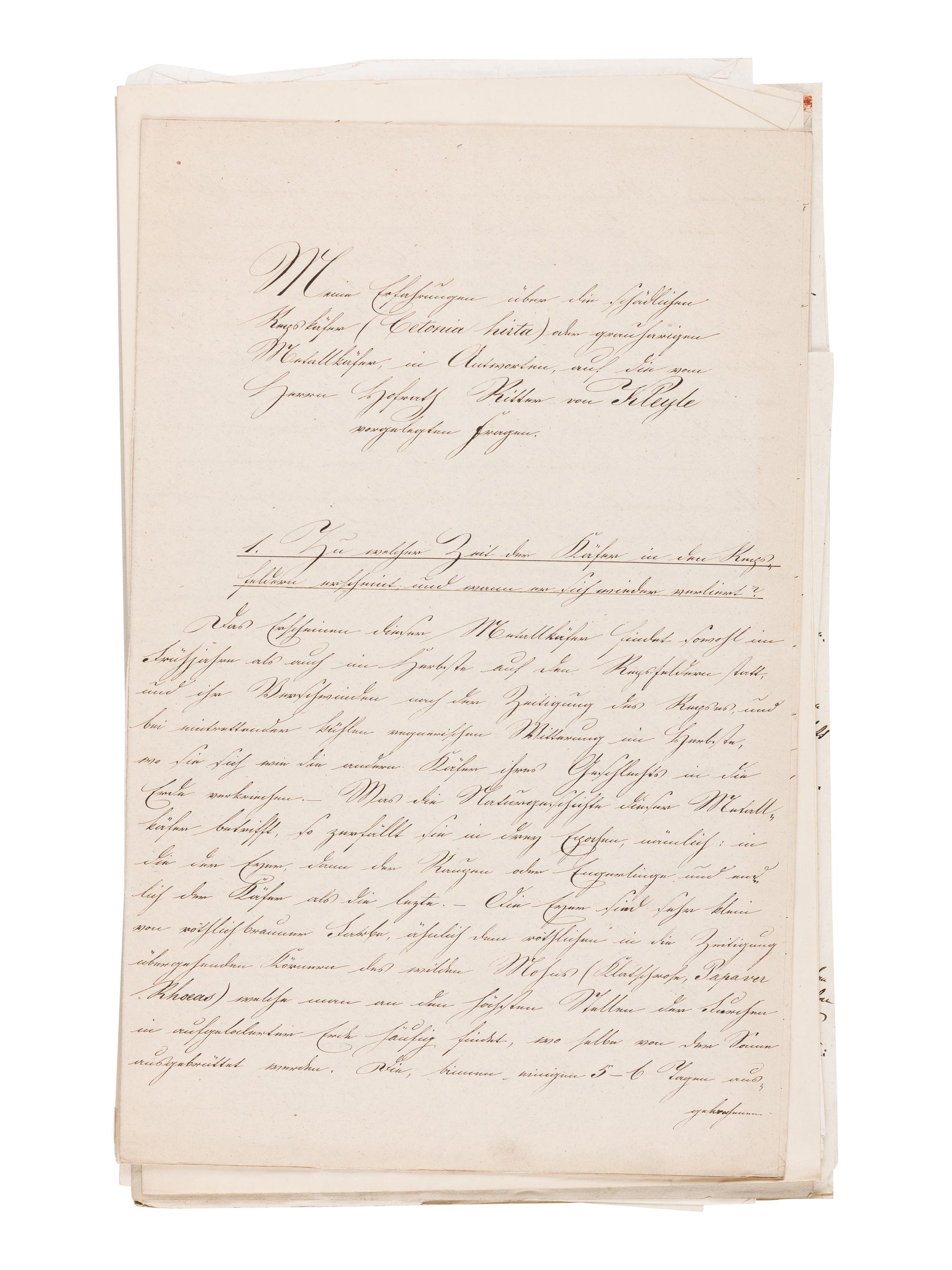 [MANUSCRIPT]. KOLLAR, Vincenz (1797-1860). "Abbildung und Beschreibung schädlicher Insecten. Ms. mit aquarellierten Handzeichnungen." [Vienna, ca 1839-1847].